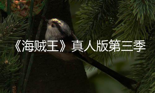 巴斯海阿拉人版宣 贼王真战坦之第三季官聚焦