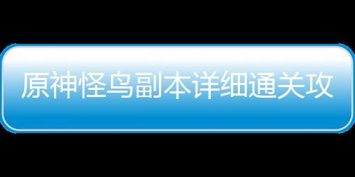 详细通关怪鸟攻略原神副本