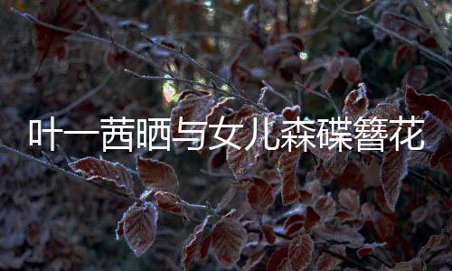 不必花合花儿森茜晒 你照追光自成碟簪叶一与女