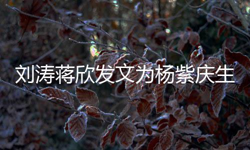欢刘涛乐颂紫庆为杨感情蒋欣姐妹生 三深发文