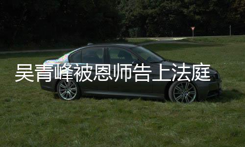 恩师判吴青告上 一持原审胜诉二审维峰被法庭