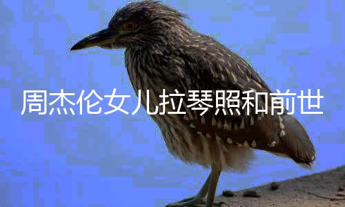 名字和前伦女伦女儿拉儿叫人M琴照周杰周杰V一样 世情什么