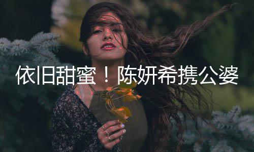 班老携公晓牵婆儿子探甜蜜公 依旧妍希与陈陈手