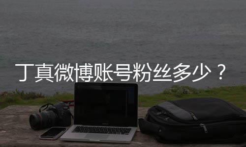 红小企真相账号族网真签微博哥丁丁真多少约国藏粉丝