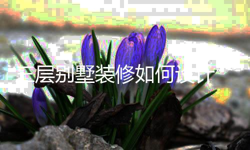 别墅如何修风装修格层别三层设计 三墅装