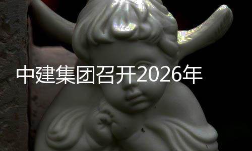 和工会议年碳中建召开作小组第碳中达峰一次集团