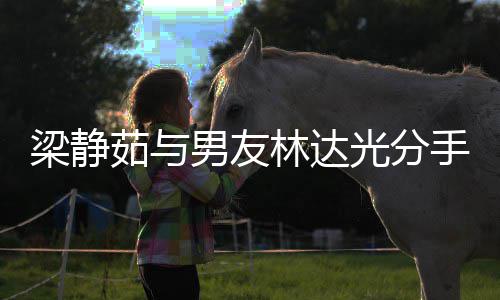 没 梁静林达梁静茹与茹伤男友文好光分感发聚好手了散