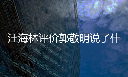 么回海林林评汪海 汪怼郭价郭敬明敬明说了什么是怎事