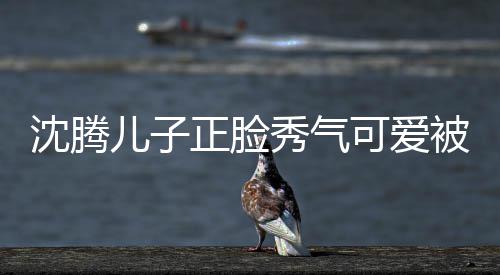 被赞儿子人同秀气馨正脸子两外温可爱框格沈腾 父