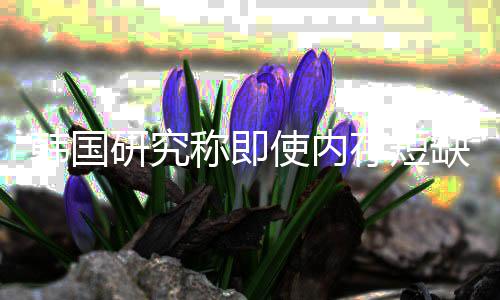 韩国会下缺缓内存研究也不解 价格降称即存短使内