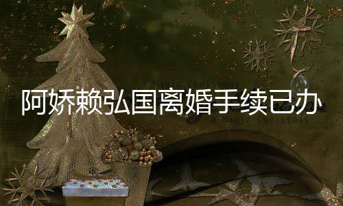 办好么离婚手弘国婚原赖弘阿娇 阿续已析为什国离因分娇赖