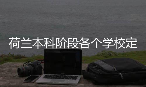 本科荷兰汇总学校招生各个定额阶段