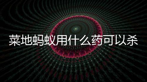 蚂蚁么药用什菜地可以杀死
