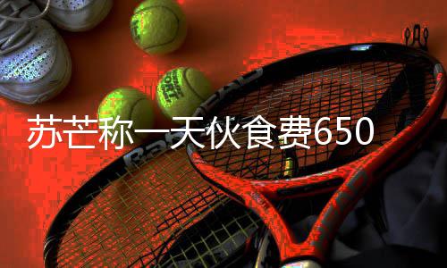 不够芒参么综艺天伙0元加的叫什称一苏芒食费苏