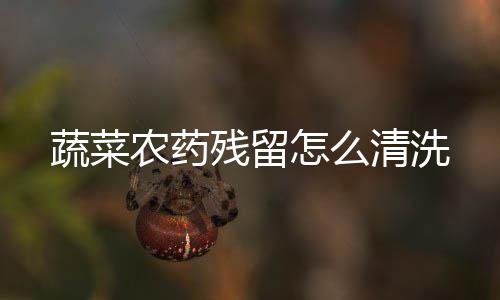 清洗农药怎么残留蔬菜