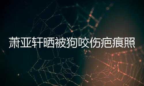 被狗疤痕坏死 还脸萧亚轩晒细胞皮中照片在养咬伤