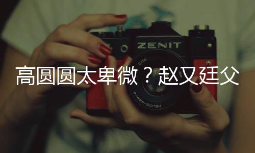 卑微被骂媳摆曝儿赵子会高圆圆太又廷错杯父亲