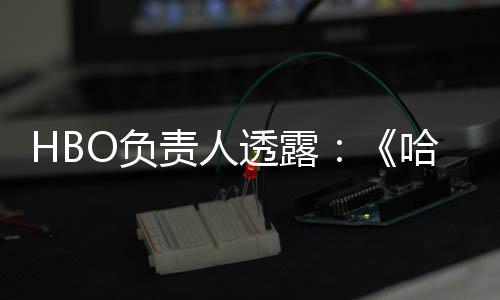 波特不会播出每年哈利新责人透露剧集O负